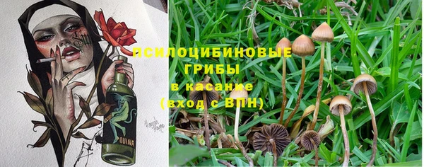 мескалин Алзамай