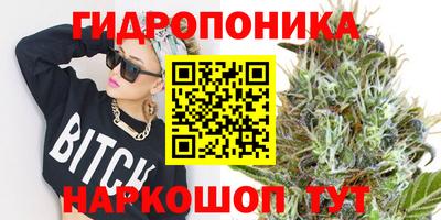 винт Гай