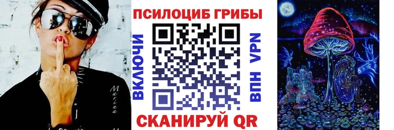hydra ссылки  продажа наркотиков  Муравленко  Псилоцибиновые грибы Psilocybine cubensis 