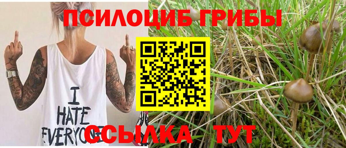 Галлюциногенные грибы ЛСД  Вход с VPN  как найти закладки  Муравленко 