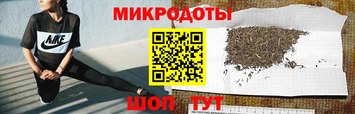Галлюциногенные грибы Psilocybe Муравленко
